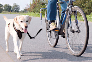 Afstandsholder til cyklen