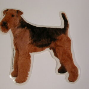 Airedale Terrier