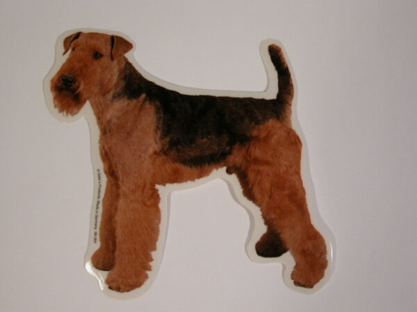 Airedale Terrier