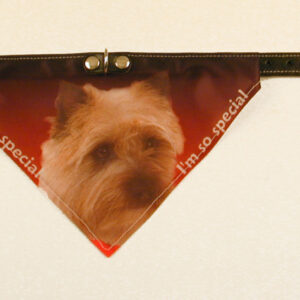 Bandana Halsbånd med motiv af Cairn Terrier