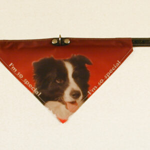 Bandana halsbånd med motiv af Border Collie.