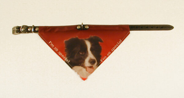 Bandana halsbånd med motiv af Border Collie.