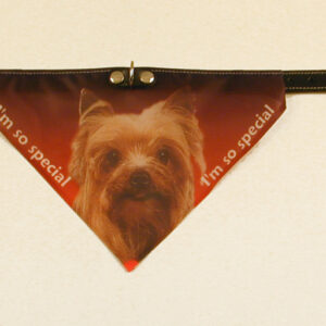 Bandana halsbånd med motiv af Yorkshire Terrier.