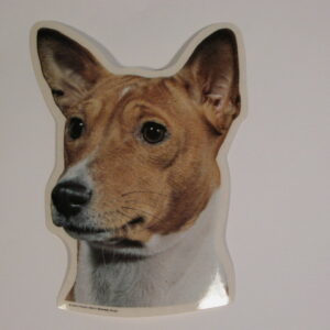 Basenji