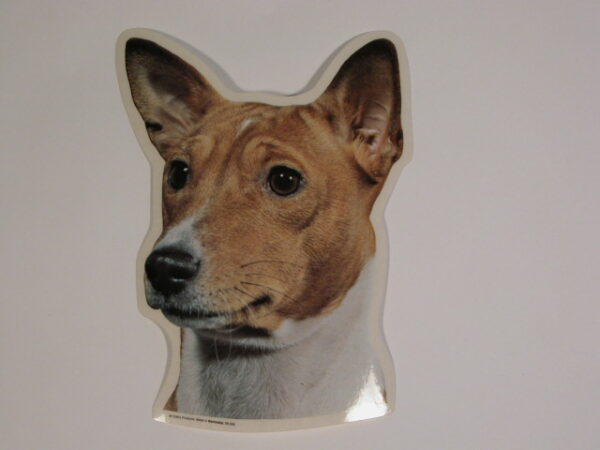 Basenji