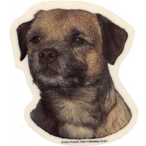 Border Terrier