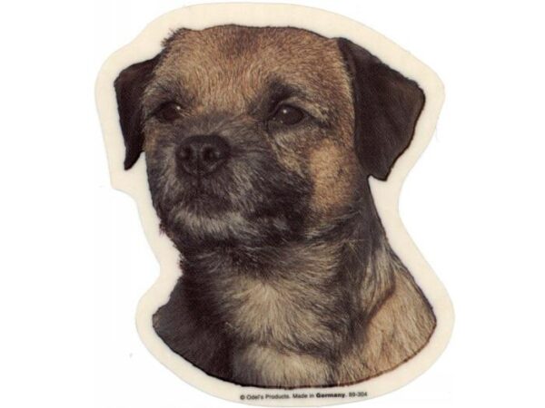 Border Terrier