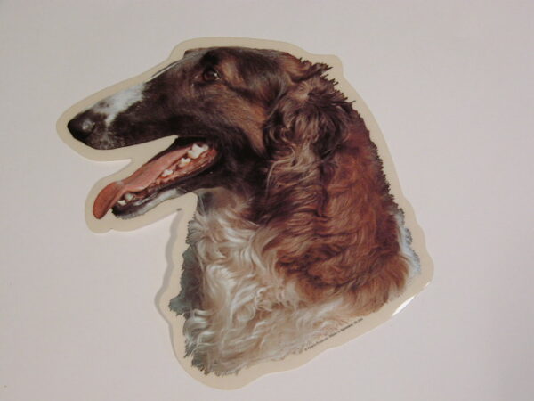 Borzoi