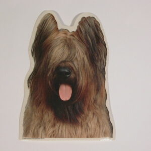 Briard