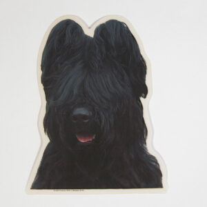 Briard