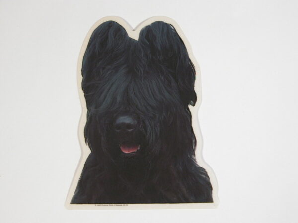 Briard