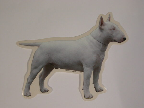 Bull Terrier