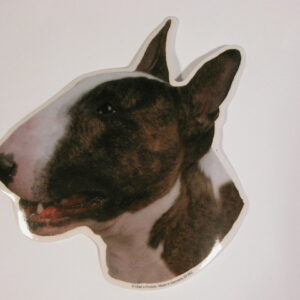 Bull Terrier