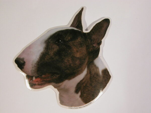 Bull Terrier