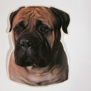 Bullmastiff