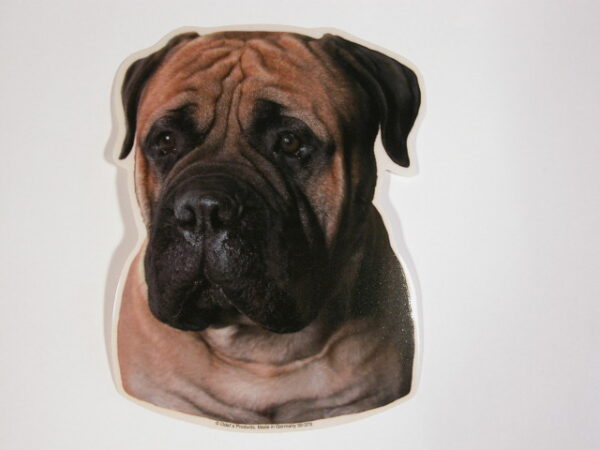 Bullmastiff