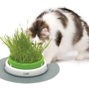 Catit Senses 2.0 Grass Garden Kit / græsdispenser