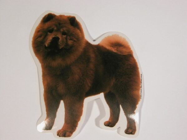 Chow Chow