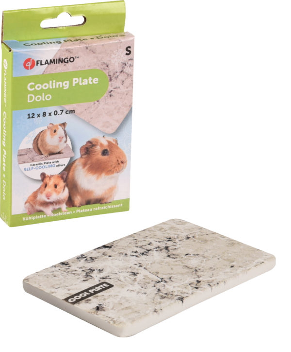 Cooling Plate