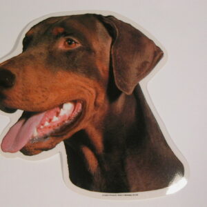 Dobermann