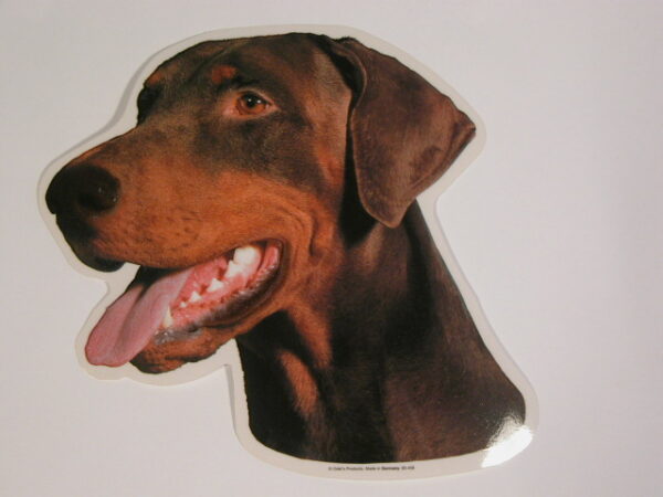 Dobermann