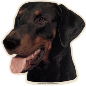 Dobermann