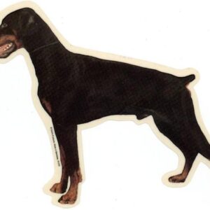 Dobermann