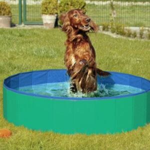 Doggy Pool. Hundepool. Grøn/Blå.