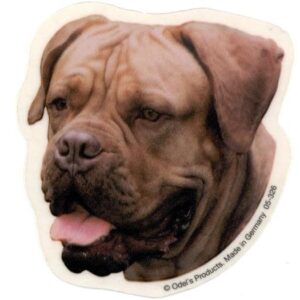 Dogue de Bordeaux