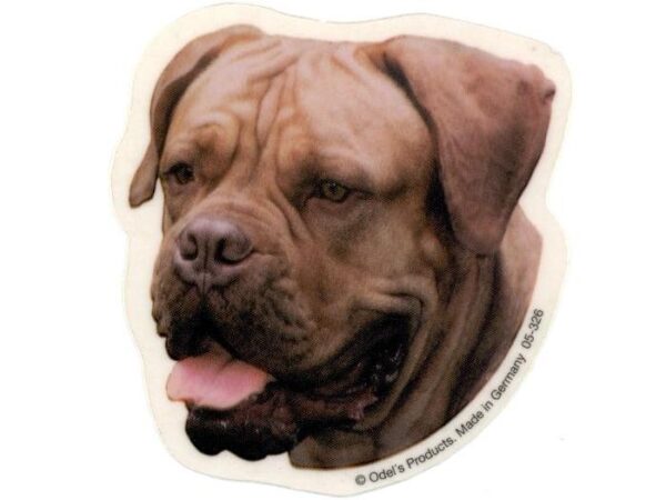 Dogue de Bordeaux