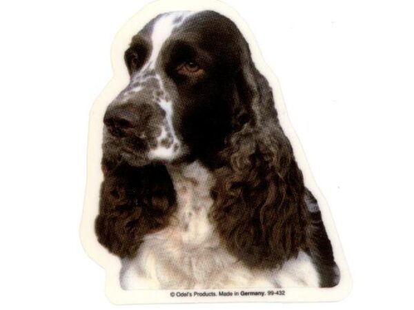 Engelsk Springer Spaniel