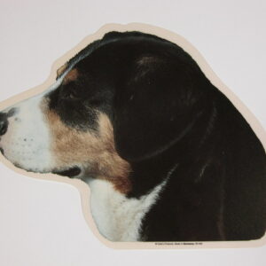 Entlebucher Sennenhund