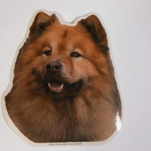 Eurasier