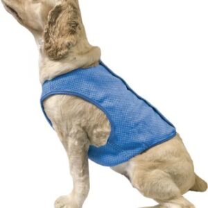 Go Fresh Ice vest til hunde