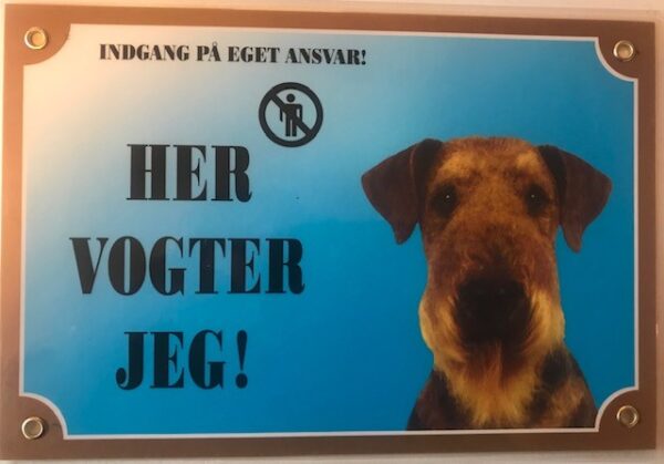 Her vogter jeg Aierdale Terrier.