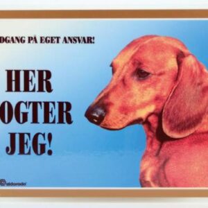 Her vogter jeg Korthåret Gravhund