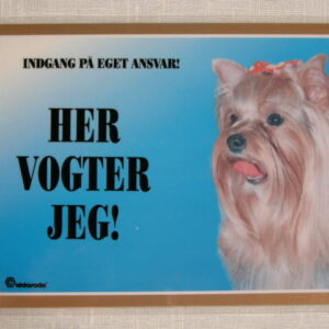 Her vogter jeg Yorkshire Terrier