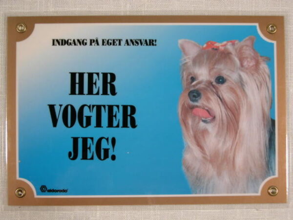 Her vogter jeg Yorkshire Terrier