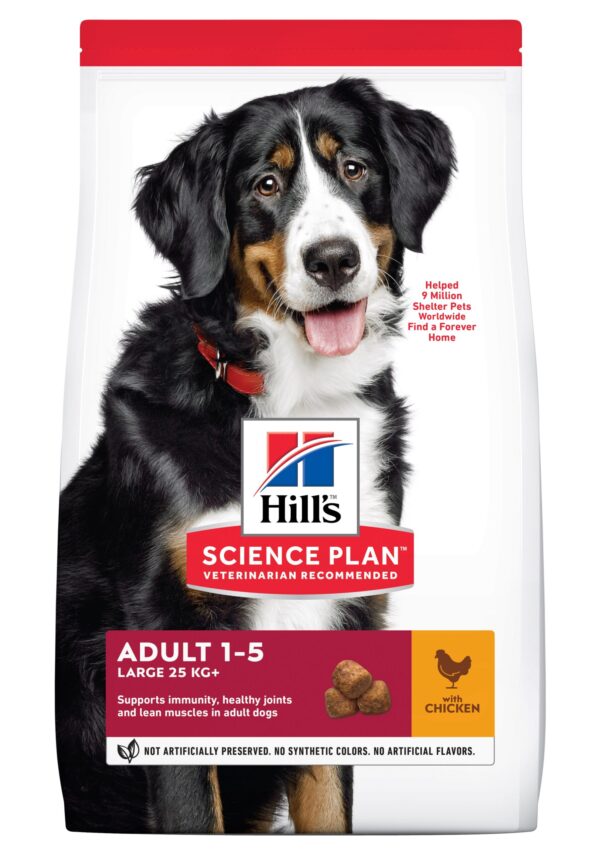 Hill's Science Plan Adult. Large Breed. Chicken. 12kg.