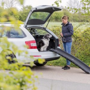 Hundens rampe til bilen. "Petwalk" foldbar bilrampe i plast