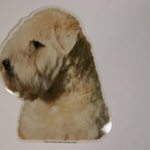 Irish Softcoated Wheaten Terrier