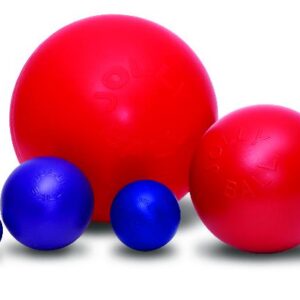 Jolly Pets Push-n-Play Ball