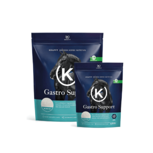 KRAFFT Gastro Support 1