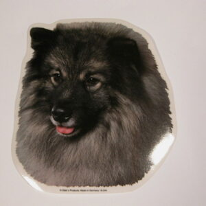 Keeshond