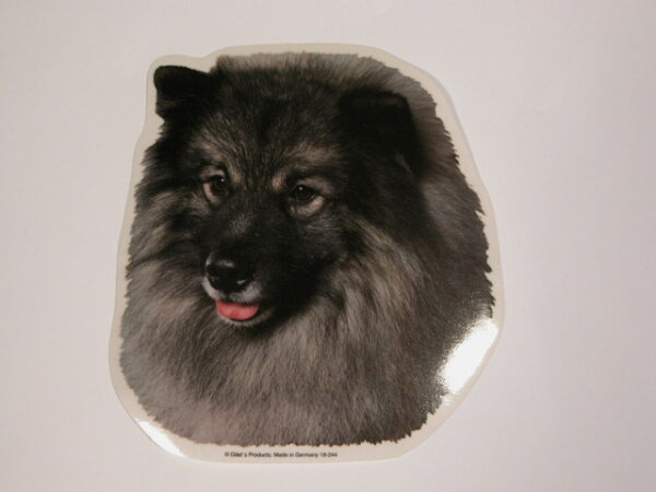 Keeshond