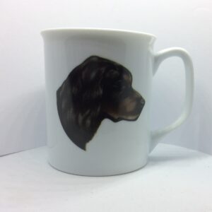 Krus med Gordon Setter