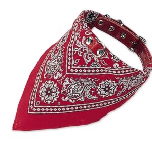 Hund > Halsbånd, liner & seler > Halsbånd > Halsbånd Bandana