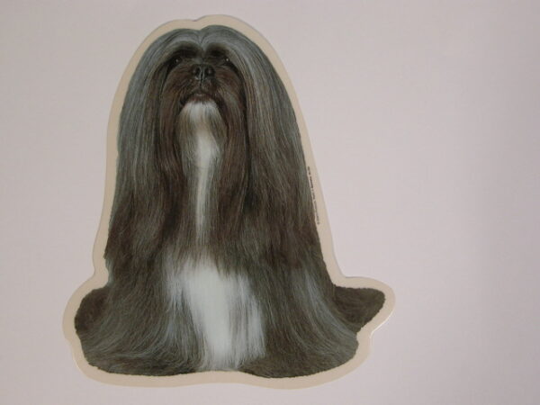 Lhasa Apso