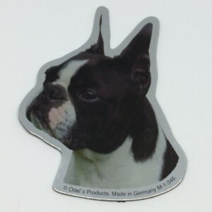 Magnet med Boston terrier