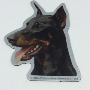 Magnet med Dobermann